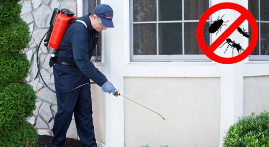 Digor Fare İlaçlama böcek ilaçlama ve haşere kontrolü — ilaclama-tr.com